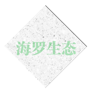 北京芝麻白水磨石